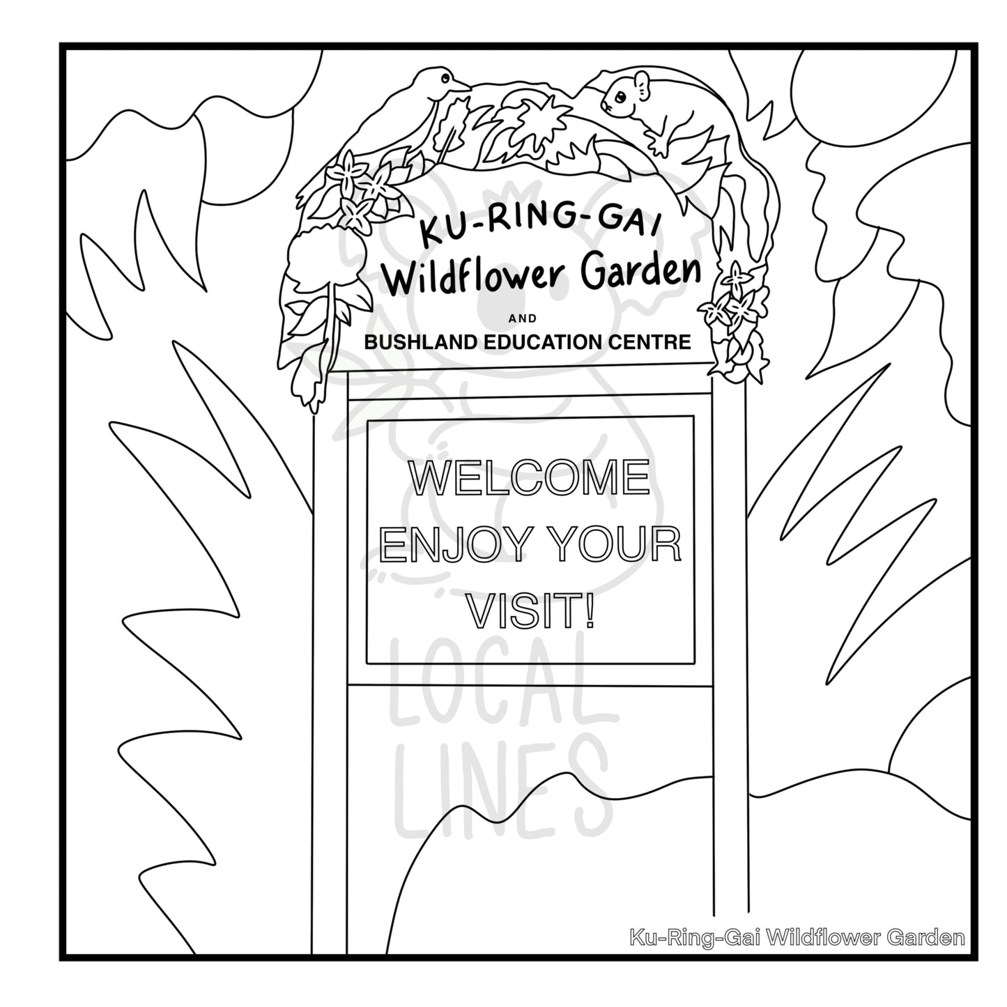 The Hills of Sydney Colouring Book