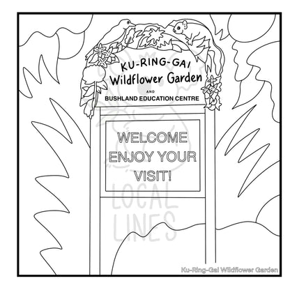 The Hills of Sydney Colouring Book