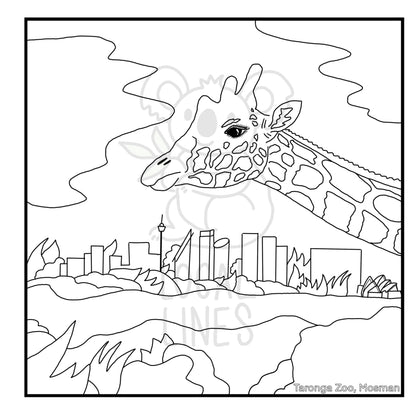 North Shore & Northern Beaches of Sydney Colouring Books